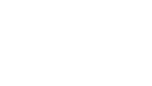 dayz logo